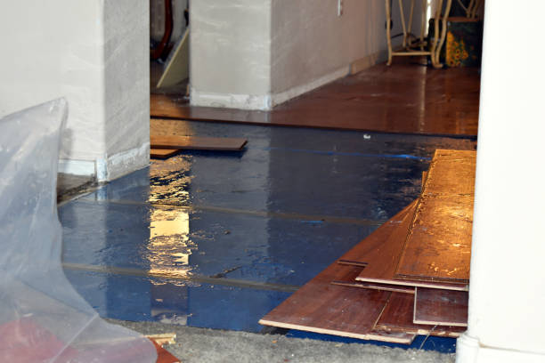 Professional Basement Flood Cleanup technician working in Chauncey, WV